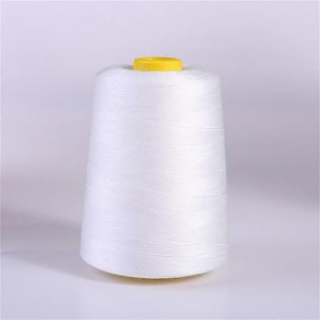 8000 Yards Polyester Overlock Thread