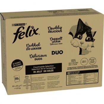 Jumbopack Felix Tendres Effilés 80 x 85 g