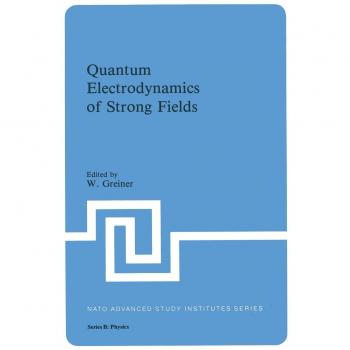 Quantum Electrodynamics of Strong Fields (NATO Science Series B:, 80, Band 80)