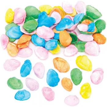 Pastel Craft Shells (Pack of 150) Natural Craft Materials