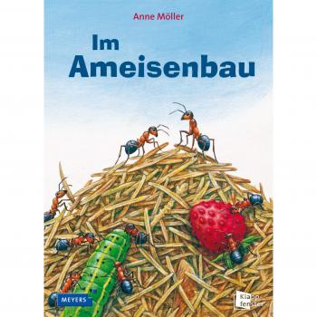 Im Ameisenbau