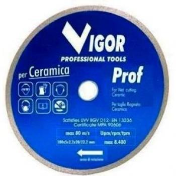 Diamantati Dischi Vigor 180X22mm Corona Continua Ramica
