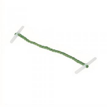 Treasury Tag Plastic 101mm Box 100 Green