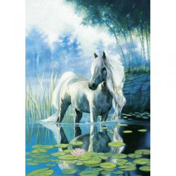 Schmidt Spiele 58121 – Seerosenteich, 1000‑Teil-Puzzle