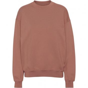 Felpa Girocollo Eco Rosewood Mist Oversized Colorful