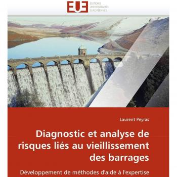 Diagnostic et analyse de risques liés au vieillissement des barrages: Développement de méthodes d'aide à l'expertise