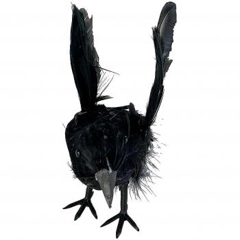 Mise en scène Raven Noir Maison