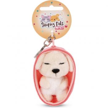 Chien Beige Endormi – Accessoire 8 cm à Porte-Clés
