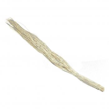 Steingaesser 12078 03 0002 Curly Willow