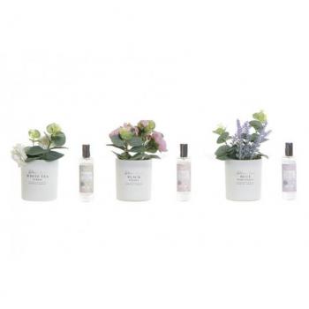 Désodorisant DKD Home Decor Shabby Chic (2 Unités)