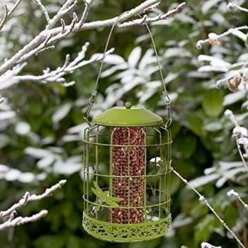 Decorative Squirrel-Proof Peanut Dispenser