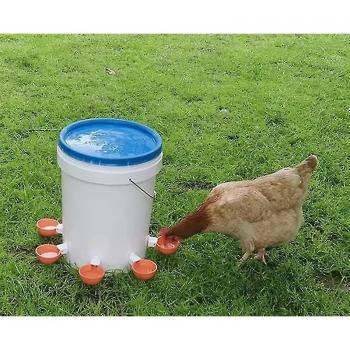 5 pcs, kit d'abreuvoirs pour poules