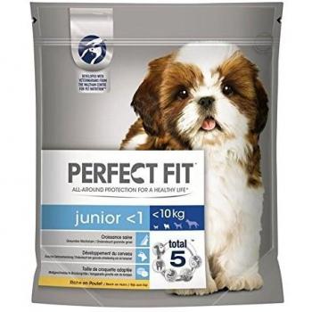 Perfect Fit Junior XS/S mit Huhn