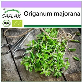 Bio-Majoransamen SAFLAX – 700 Stk. – Origanum majorana