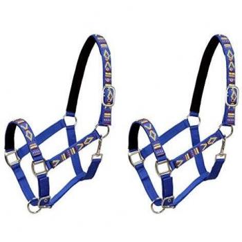 Nylon Horse Head Collars 2 pcs Full Size Blue vidaXL