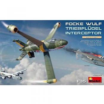 Focke-Wulf Interceptor Ailes Gris
