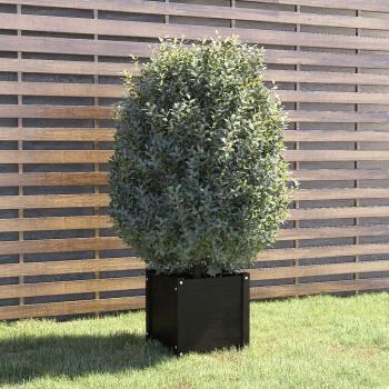 Vidaxl Jardinera de Pino Negros 40cm³