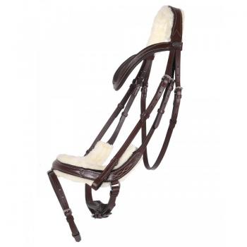 QHP Ontario Reitzaum