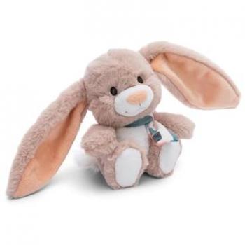 Fjella di Nicci 20 cm