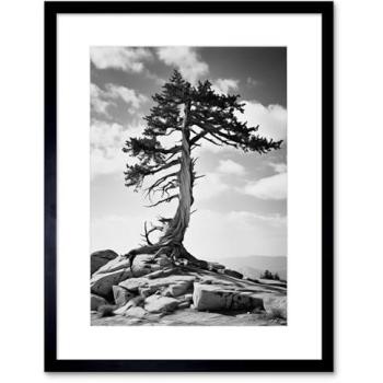 Lone Timber – Black & White Mountain Print