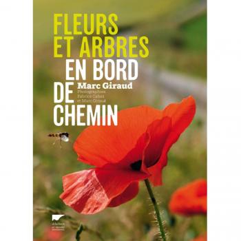 Fleurs et arbres en bord de chemin