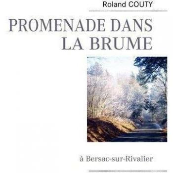 Promenade dans la brume