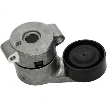 INA Tensioner Lever, correa poli V 534 0308 10