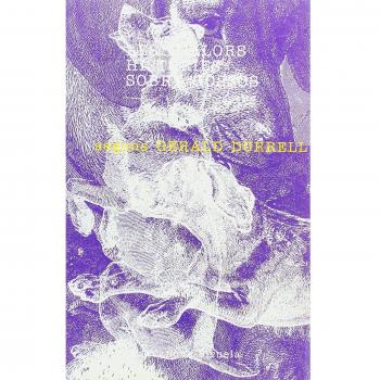 Les Millors Histories Sobre Gossos