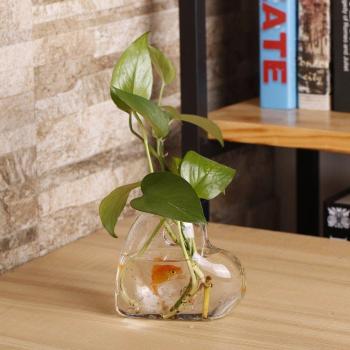 Jarrón de pared transparente para plantas