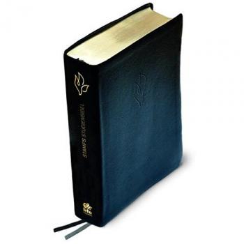 STAMPS Studienbibel (Lederfaserstoff, schwarz)