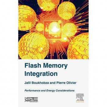 Flash Memory Integration