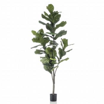 Künstliche Ficus lyrata Geigenfeige 160 cm