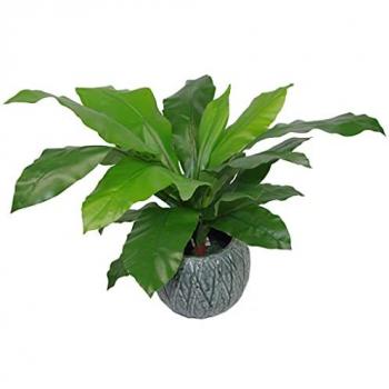 Artificial 60cm Fern in a Realistic Bird's Nest Arrangement
