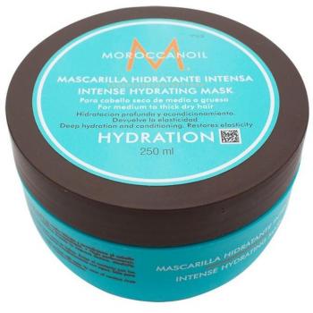 Moroccanoil Hydration Intensive Feuchtigkeit spendende und nährende Maske für trockenes und normales Haar 250 ml