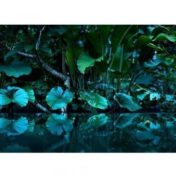 Tapisserie Jungle Chic