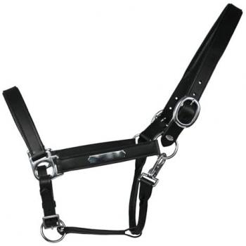 Equest Lederhalfter Deluxe