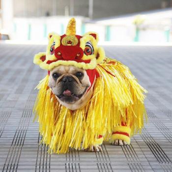 Traje Estelar Para Caniche y Schnauzer