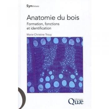 Anatomie du bois