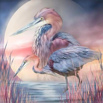 Heron Diamant Schilderij 5D DIY Strass 30x30CM