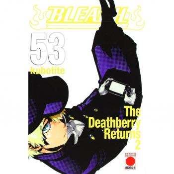 Bleach 53
