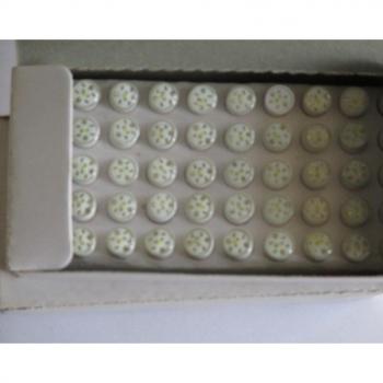 High Brightness LED Light Bulb 10mm AC 24V/12V/6.3V