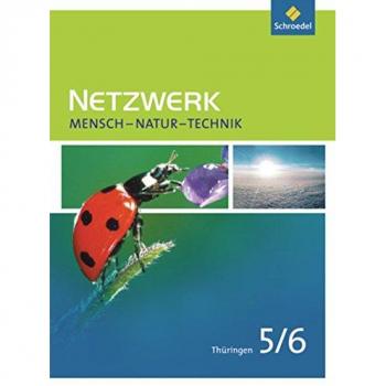 Netzwerk Mensch