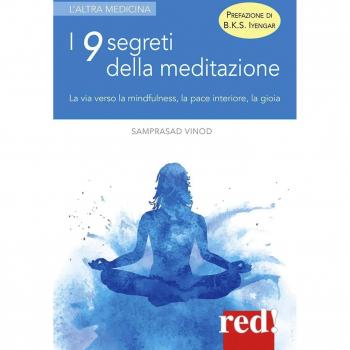 I 9 segreti della meditazione. La via verso la mindfulness, la pace interiore, la gioia