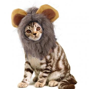 Whimsical Lion Wig for Dogs and Cats