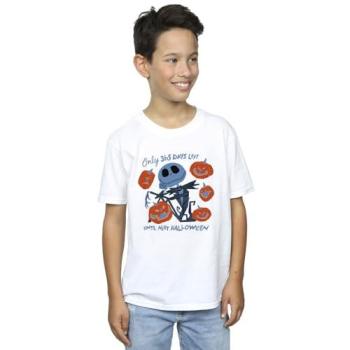 Boy’s Nightmare Before Christmas 365 Day Halloween Countdown Tee for Ages 12‑13 (White)