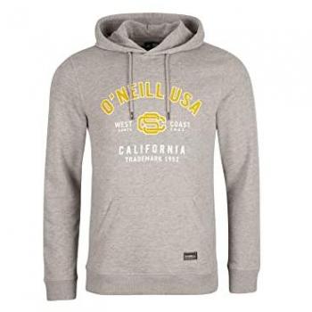 Sudadera O'Neill State Gris
