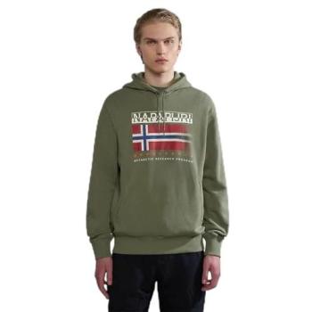 Sweat Napapijri Homme B-Kreis H en Vert