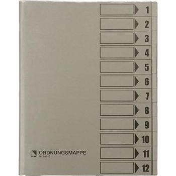 Bene Ordnungsmappe 083800GR DIN A4 12Fächer PVC grau