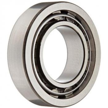 Zylinderrollenlager NU1005 von SKF – Ø Innen 25 mm, Ø Außen 47 mm, 12 mm Breite
