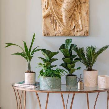 Kew Stoneware Ivory Sago Palm Planter Bowl 24cm
